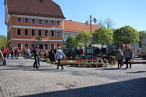 Ansturm auf Sondershäuser Blumen-, Pflanzen- und Staudenmarkt