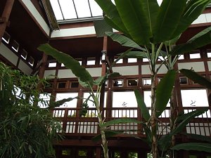 WB 4 besuchte Japanischen Garten in Bad Langensalza