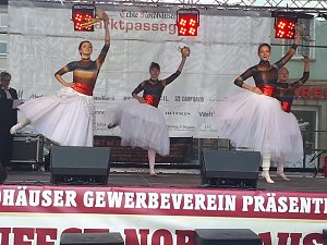 Weinfest-Nachlese und Ausblick