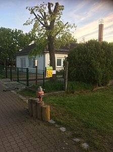 Bereits 7. Stra&szlig;en-Flohmarkt