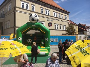 Europakandidatin bei der CDU
