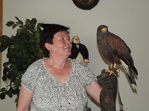 Luca Falke und W&uuml;sten-Bussard Uschi zu Besuch im WB 4