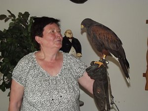 Luca Falke und W&uuml;sten-Bussard Uschi zu Besuch im WB 4