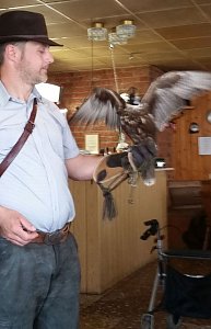 Luca Falke und W&uuml;sten-Bussard Uschi zu Besuch im WB 4