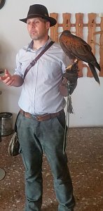 Luca Falke und W&uuml;sten-Bussard Uschi zu Besuch im WB 4