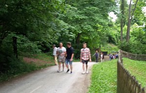 Ramelow: Th&uuml;ringer W&auml;lder in schwieriger Phase