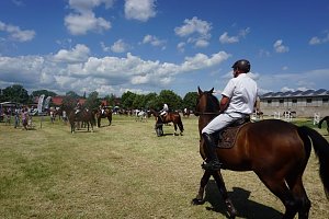 +++ Reitturnier 2019 +++