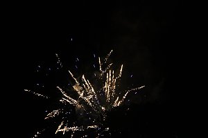 Steinefieber