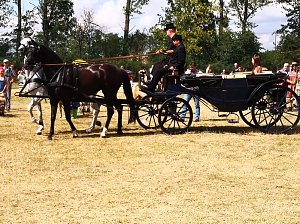 Gro&szlig;es Ponyfest Gro&szlig;enehrich