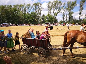 Gro&szlig;es Ponyfest Gro&szlig;enehrich