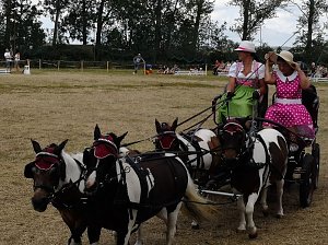 Gro&szlig;es Ponyfest Gro&szlig;enehrich
