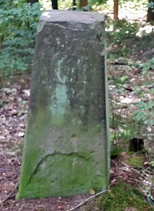 Geschichte vergammelt im Wald