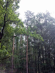 In der Windleite unterwegs