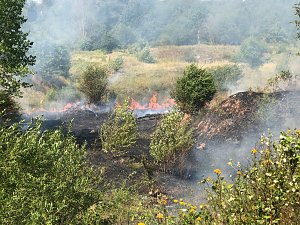 Flächenbrand