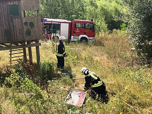 Flächenbrand