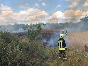 Flächenbrand