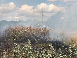 Flächenbrand