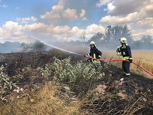 Flächenbrand