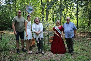 Impressionen vom Blutbuchenfest