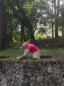 Arbeitseinsatz Schlosspark Ebeleben