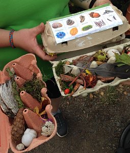 Waldzeit in der Kindertagesst&auml;tte Pfiffikus�