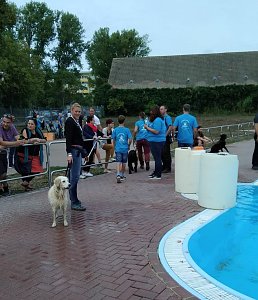 Hundeschwimmen im Solebad ein voller Erfolg