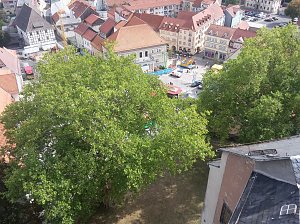 Angebote sehr gut genutzt