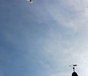 Zusammen leben, zusammen wachsen