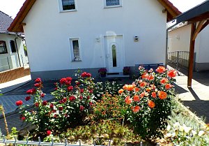 Gro&szlig;e Beteiligung am  25. "Frankenh&auml;user Blumensommer" 2019