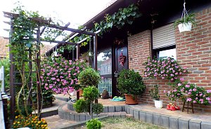 Gro&szlig;e Beteiligung am  25. "Frankenh&auml;user Blumensommer" 2019