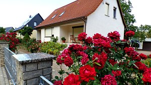 Gro&szlig;e Beteiligung am  25. "Frankenh&auml;user Blumensommer" 2019