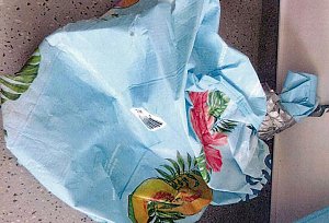 Wer erkennt die Taschen?