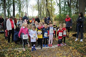 26. Stadtparklauf Sondershausen und...