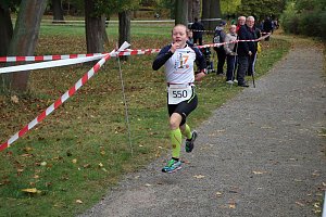 26. Stadtparklauf Sondershausen und...