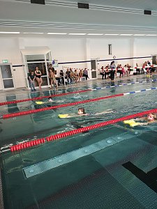 Kreisjugendspiele im Schwimmen durchgef&uuml;hrt