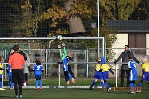 Wacker U8