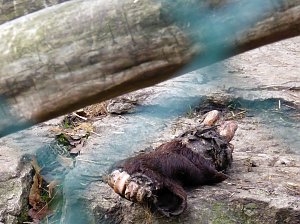 Der Possen- sch&ouml;n zu jeder Jahreszeit