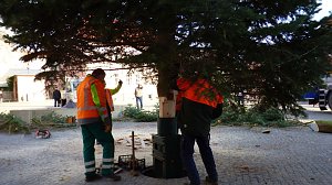 Weihnachtsmeldungen Bad Frankenhausen aktuell