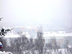 Winter im Borntal