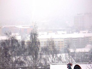 Winter im Borntal