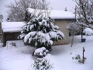 Winter im Borntal