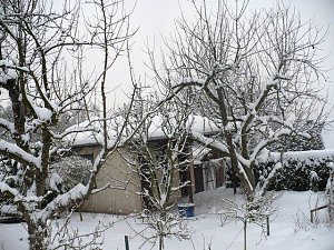 Winter im Borntal