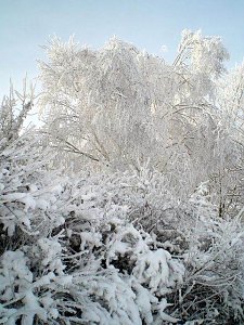 Winter in Artern