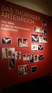 Museumsbesuch mit Sonderausstellung Spieluhren und Schneekugeln