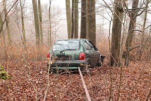 auto im Wald