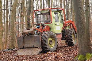 auto im Wald
