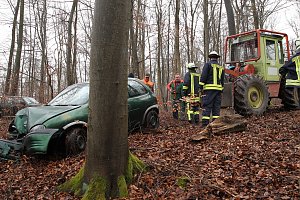 auto im Wald