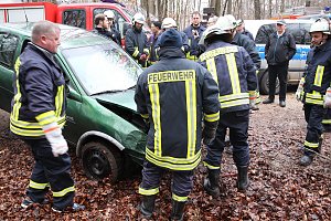 auto im Wald