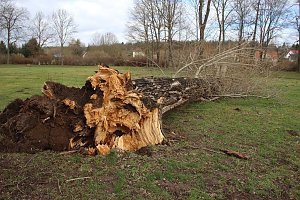 Sanierungskonzept f&uuml;r Schlosspark n&ouml;tig?