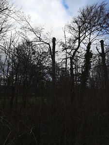 Schlosspark